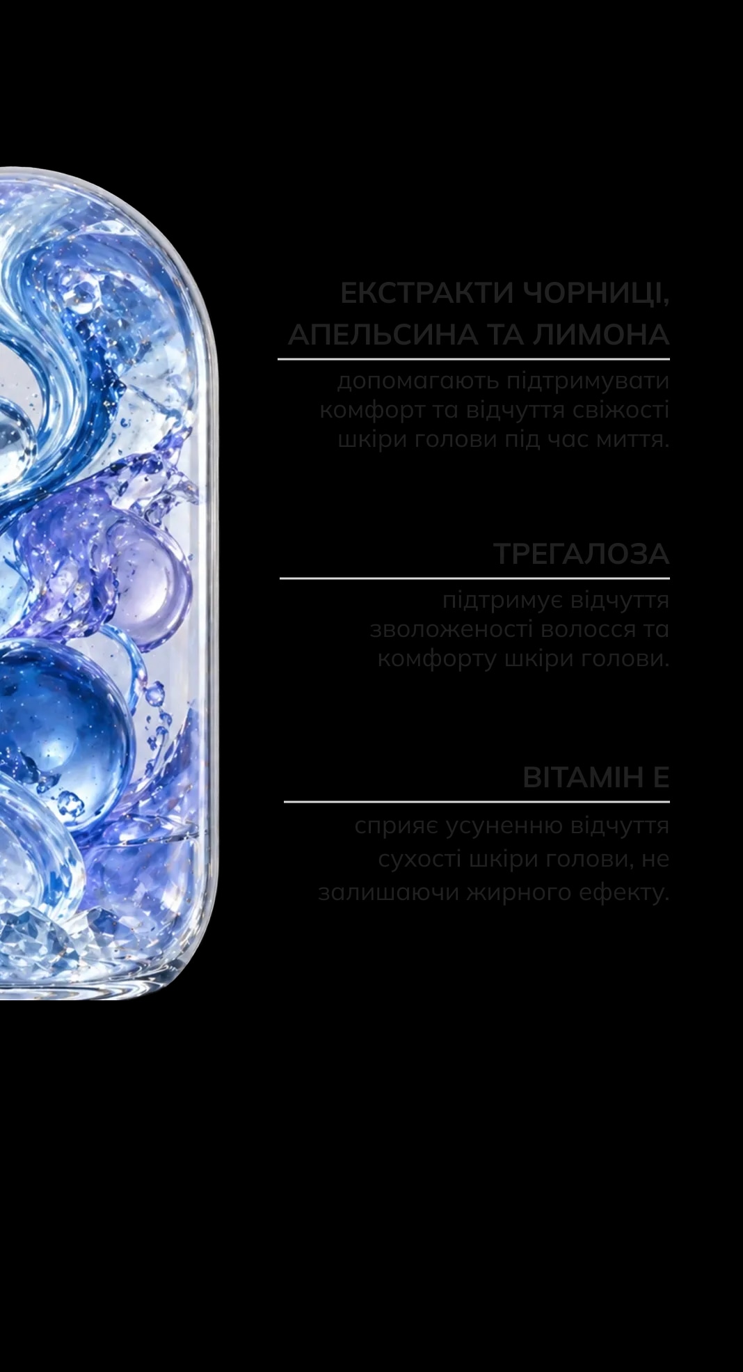 Шампунь для всіх типів волосся з екстрактом чорниці Шампунь для всіх типів волосся з екстрактом чорниці